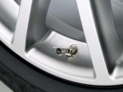Колпачки на нипель с эмблемой Audi 4L0071215